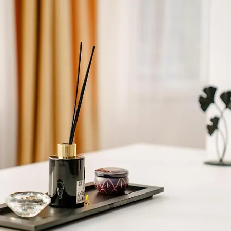 Studio Lounge Apartment *