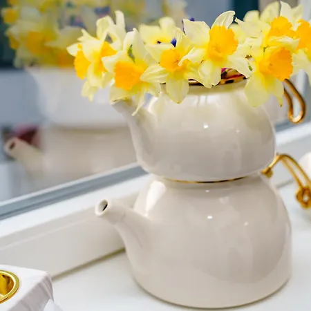 Studio Lounge Apartment *