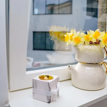 Studio Lounge Apartment Craiova