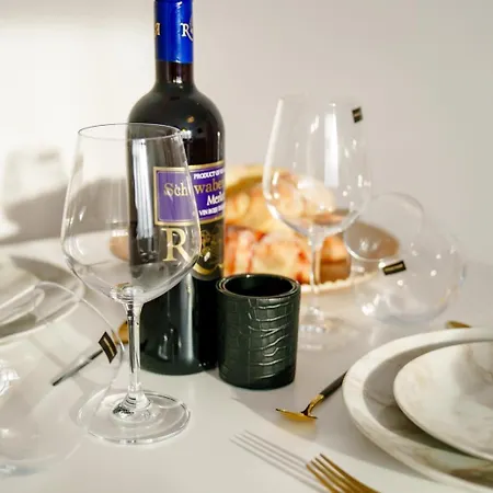 Studio Lounge Apartment Craiova