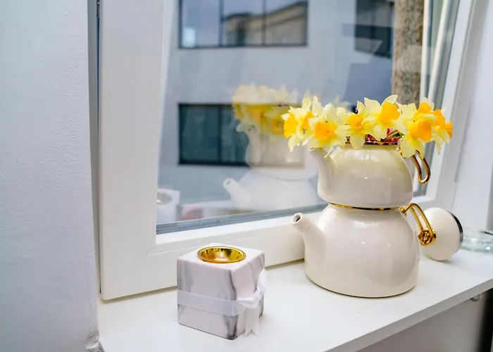 Studio Lounge Apartman Craiova